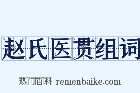 赵氏医贯组词是什么意思的图片